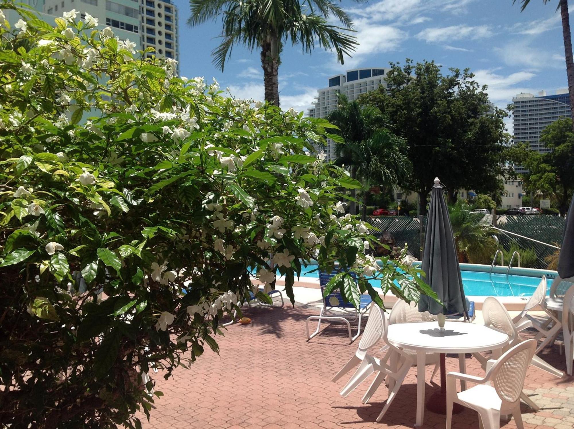 Birch Patio Motel Fort Lauderdale Exteriör bild